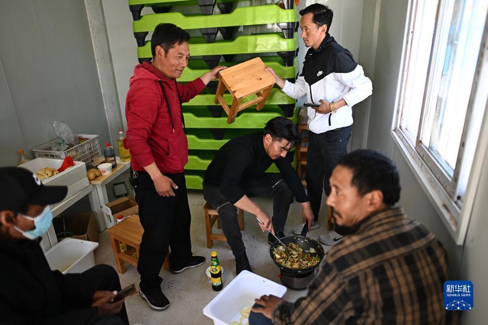澳门 赛狗